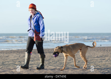 Eine Frau zu Fuß ihr Lurcher auf Drigg Strand an einem kalten, aber sonnigen Januarnachmittag. Stockfoto