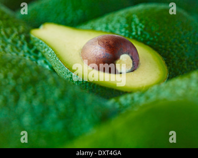 Extreme Nahaufnahme von geschnittenen Pinkerton avocado Stockfoto