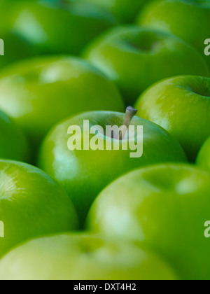 Extreme Nahaufnahme von ganzen grünen Granny Smith Äpfel Stockfoto