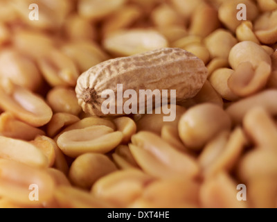 Extreme Nahaufnahme von Erdnüssen Stockfoto