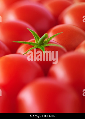 Extreme Nahaufnahme von rote Tomaten Stockfoto