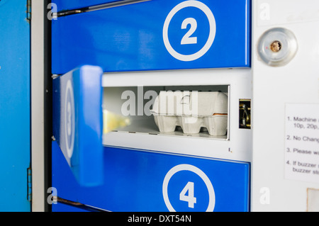 Box von Eiern in den Schrank von einem freilaufenden Ei und Gemüse Automaten Stockfoto