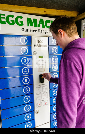 Ein junger Mann fügt Geld in einen Automaten aus Freilandhaltung Ei Stockfoto