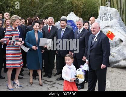 Brüssel, Belgien. 30. März 2014. Chinesischen Staatspräsidenten Xi Jinping und seiner Frau Peng Liyuan verschenken eine Panda-Spielzeug mit einer belgischen Mädchen im Zoo Pairi Daiza in Brugelette, Belgien, 30. März 2014. XI und belgische König Philippe nahmen an der Einweihung eines Hauses Panda im Zoo am Sonntag. Bildnachweis: Pang Xinglei/Xinhua/Alamy Live-Nachrichten Stockfoto