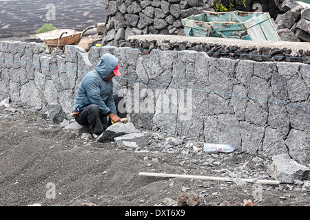 Mann Bau Mauer aus lokalen Vulkanstein, La Geria, Lanzarote, Kanarische Inseln, Spanien Stockfoto