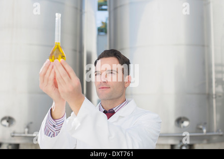 Wissenschaftler untersuchen Flüssigkeit im Becherglas neben Silage Speichertürme Stockfoto