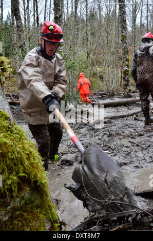 Rettungskräfte weiter Bemühungen, Opfer von einem gewaltigen Erdrutsch zu suchen, die mindestens 28 Menschen getötet und vernichtet ein kleines Dorf am Fluss im nordwestlichen Bundesstaat Washington 30. März 2014 in Oso, Washington. Stockfoto