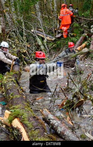 Rettungskräfte weiter Bemühungen, Opfer von einem gewaltigen Erdrutsch zu suchen, die mindestens 28 Menschen getötet und vernichtet ein kleines Dorf am Fluss im nordwestlichen Bundesstaat Washington 30. März 2014 in Oso, Washington. Stockfoto