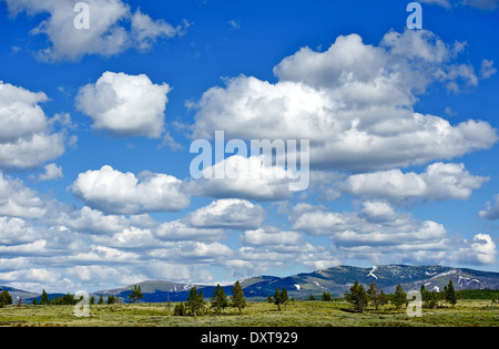 Wyoming Wildnis. Himmel über Yellowstone Nationalpark in Wyoming, USA. Partly Cloudy Blue Sky. Wyoming-Landschaft. Stockfoto