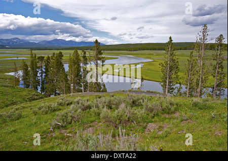Yellowstone Park River und Yellowstone National Park Tallandschaft. Wyoming, USA. Amerikanische Nationalparks Fotosammlung. Stockfoto