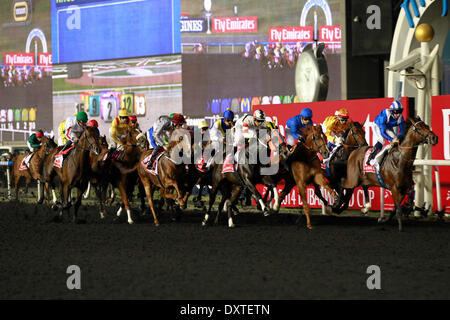 Dubai, Vereinigte Arabische Emirate. 29. März 2014. Läufer und Reiter während der Dubai World Cup (Gruppe 1). Bildnachweis: Dpa picture Alliance/Alamy Live News Stockfoto