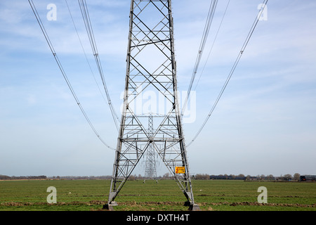 Stromleitung mit Pylonen im niederländischen polder Stockfoto