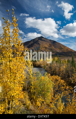 Herbstfärbung Farbsäume der Dempster Highway, Yukon Territorien, Kanada Stockfoto