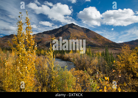 Herbstfärbung Farbsäume der Dempster Highway, Yukon Territorien, Kanada Stockfoto