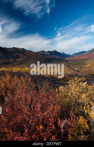 Tombstone Pass und das obere Tal des Flusses North Klondike im Herbst, Tombstone Territorial Park, Yukon Territorien, Kanada Stockfoto