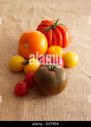 Auswahl an Tomaten Stockfoto