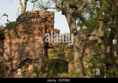Alte steinerne Gesicht, ein Quarzit formation Pipestone National Monument, Minnesota. Digitale Fotografie Stockfoto