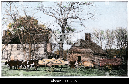 Ochsen gezogenen Wagen vor einem alten Bauernhaus, New Jersey 1800. Hand - farbige Raster eines Fotos Stockfoto