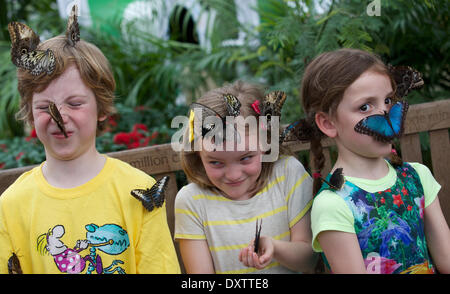 London, UK. 31. März 2014.  Kinder spielen mit Schmetterlingen im Natural History Museum, sensationelle Schmetterlinge Ausstellung zu starten Stockfoto