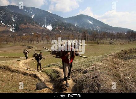 Srinagar, Kaschmir Indien kontrollierten. 31. März 2014. Männer tragen Brennholz auf ein Dorf von Srinagar, Sommer in der Hauptstadt von Indien kontrollierten Kaschmir, 31. März 2014. © Javed Dar/Xinhua/Alamy Live-Nachrichten Stockfoto