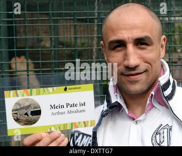 Berlin, Deutschland. 31. März 2014. Armenisch-deutsche Profi-Boxer Arthur Abraham stellt neben dem Käfig des persischen Leoparden im Berliner Zoo in Berlin, Deutschland, 31. März 2014. Abraham hat die Patenschaft für den jungen Leoparden Shiva, dessen Mutter begleitet, jedoch zeigte sich nur ohne ihre jungen übernommen. Foto: SOEREN STACHE/DPA/Alamy Live-Nachrichten Stockfoto