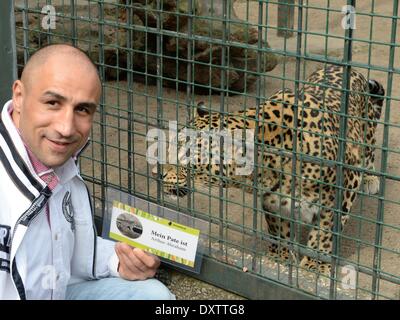 Berlin, Deutschland. 31. März 2014. Armenisch-deutsche Profi-Boxer Arthur Abraham stellt neben dem Käfig des persischen Leoparden im Berliner Zoo in Berlin, Deutschland, 31. März 2014. Abraham hat die Patenschaft für den jungen Leoparden Shiva, dessen Mutter begleitet, jedoch zeigte sich nur ohne ihre jungen übernommen. Foto: SOEREN STACHE/DPA/Alamy Live-Nachrichten Stockfoto