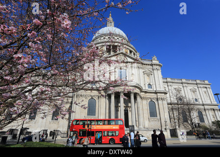 St. Pauls Cathedral im Frühjahr, mit roten Busse fahren Vergangenheit in London, England, UK Stockfoto