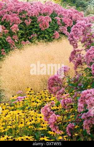 Perennial and Ornamental Grass combination in September, early autumn. Stockfoto