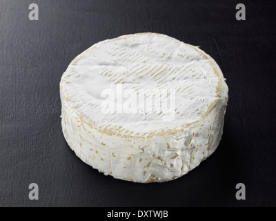 Camembert de Normandie Stockfoto