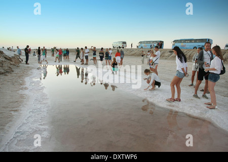 Touristen am Chott El Jerid, einem großen Salz See im Süden von Tunesien. Stockfoto