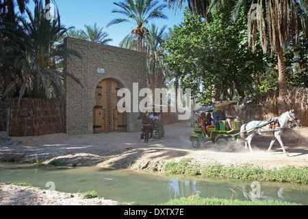 Touristen, die Fahrt in der Kutsche durch die größten tunesischen Oase, die Palmeraie de Tozeur in Tozeur, Tunesien aufgerufen wird. Stockfoto