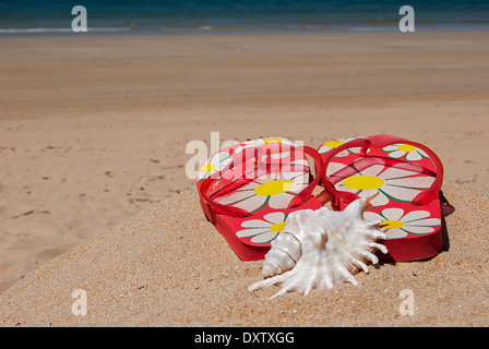 Flip Flops und Muscheln auf dem Sand von einem einsamen Strand an einem Sommertag mit Meer im Hintergrund Stockfoto