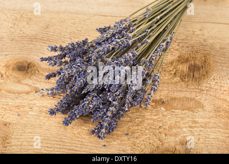 Getrocknete Lavendelblüten Stockfoto