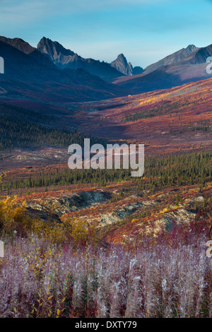 Tombstone Pass und das obere Tal des Flusses North Klondike im Herbst, Tombstone Territorial Park, Yukon Territorien, Kanada Stockfoto