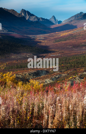 Tombstone Pass und das obere Tal des Flusses North Klondike im Herbst, Tombstone Territorial Park, Yukon Territorien, Kanada Stockfoto