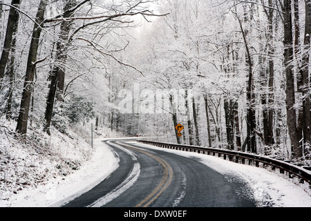 Straße durch Pisgah National Forest im Winter - in der Nähe von Brevard, North Carolina USA Stockfoto