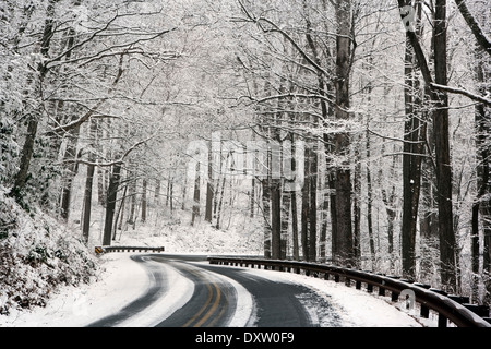 Straße durch Pisgah National Forest im Winter - in der Nähe von Brevard, North Carolina USA Stockfoto