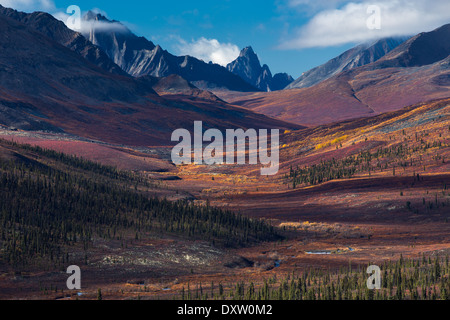 Tombstone Pass und das obere Tal des Flusses North Klondike im Herbst, Tombstone Territorial Park, Yukon Territorien, Kanada Stockfoto