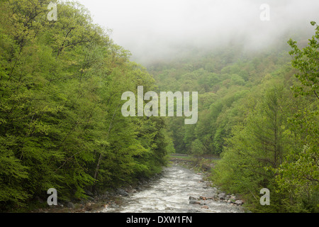 Niedrige Wolken hängen über einem schäumenden Bergfluss Berkshire im Frühjahr. Stockfoto