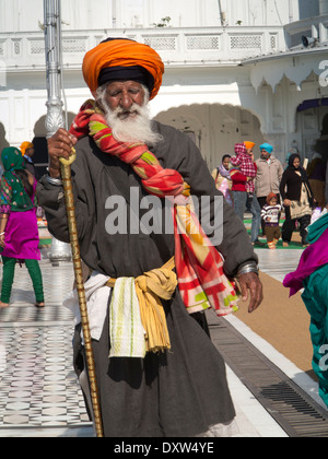 Indien, Punjab, Amritsar, Sri Harmandir oder Darbar Sahib, Goldene Tempel Gurdwara alten Pilger Stockfoto