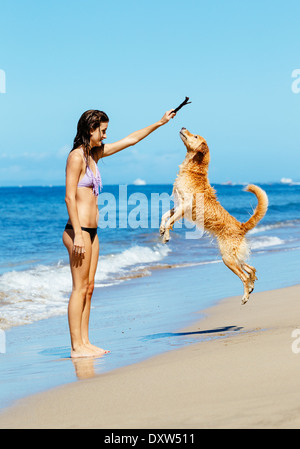 Junge Frau spielt mit ihren entzückenden Golden Retriever am Strand, glücklichen Hund sprang in die Luft. Stockfoto