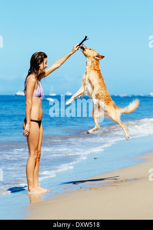 Junge Frau spielt mit ihren entzückenden Golden Retriever am Strand, glücklichen Hund sprang in die Luft. Stockfoto