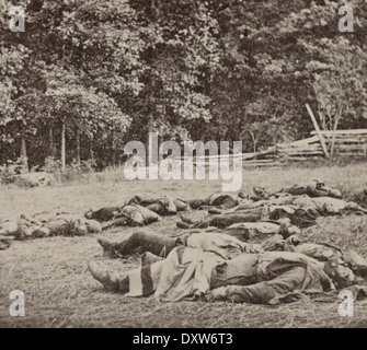 Konföderierten Toten für das Begräbnis am südwestlichen Rand des Waldes Rose, Gettysburg, Pennsylvania 5. Juli 1863 gesammelt Stockfoto