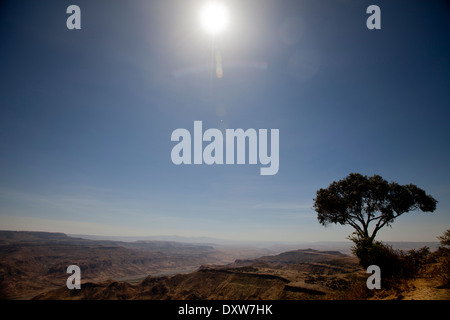 Äthiopische staubige Landschaft sieht Großbaum Vista Sonnenhimmel Stockfoto