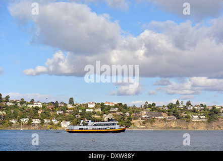 Die Sausalito-Fähre fährt entlang der Tiburon Penninsula in Marin County Stockfoto