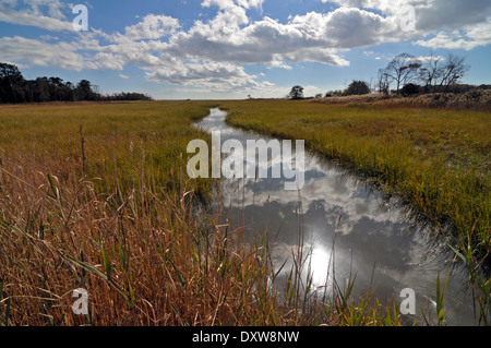 Marsh landen und inter coastal Waterway in South Jersey in der Nähe von Cape May. Stockfoto