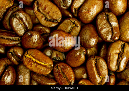 Frisch gerösteten Kaffeebohnen Nahaufnahme. Stockfoto