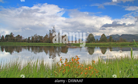 Frühlingszeit Stockfoto