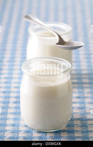 Plain Joghurt im Glas Töpfe Stockfoto