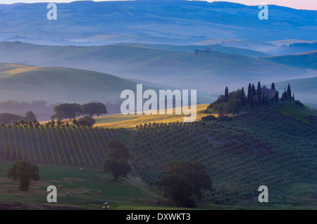 Val d ' Orcia. Orcia-Tals. Morgennebel. Das Belvedere im Morgengrauen. UNESCO-Weltkulturerbe. San Quirico d ' Orcia. Provinz Siena. Stockfoto